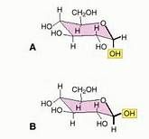How are these molecules related to each other?