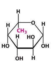 What type of modification is adding the purple substituent?