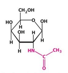 What type of modification is adding the purple functional group?