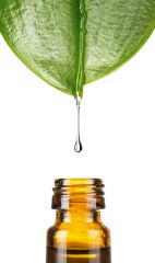 What are oils? (found mainly in food from plants). 