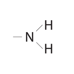 Nitrogen bonded with two hydrogens.