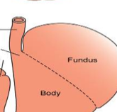The esophagus is a muscular tube from ________ to _______ at the cardia with a ______ __________ at the entrance.