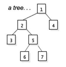 Consider the tree at the following.  Which nodes are siblings with each other?
