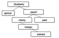 How many comparisons is needed to search for pear in the following search tree?
