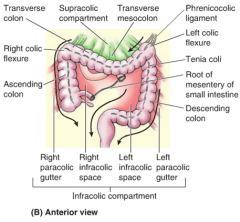 via
R paracolic gutter- lateral to ascending colon, connects the supracolic compartment & pelvic cavity
or
L paracolic gutter- lateral to descending colon
