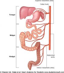 Digestive tract consists of derivatives of embryonic gut supplied by unpaired ventral branches of abdominal aorta

celiac trunk/artery: abdominal esophagus, stomach, duodenum, liver, gallbladder, pancreas 
(caudal foregut)

superior mesenteri...