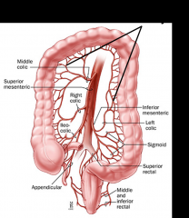 marginal artery