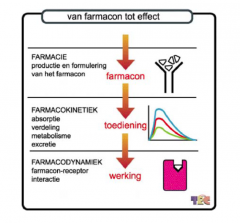 niet meer tot de farmacokinetiek, maar tot de farmacodynamiek (figuur 1). 

Hierbij is vooral de interactie van belang tussen het farmacon en de receptor op de plaats van werking.