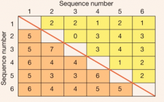 Summary of the number of similar & different AS or nucleotides among sequences.