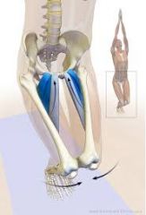 hip adduction & knee flexion