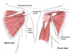 over supraspinatus


can be involved in impingement syndrome