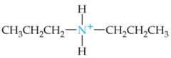 What is the name of this amine ion?