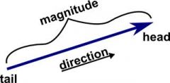 any quantity with both a magnitude and a direction