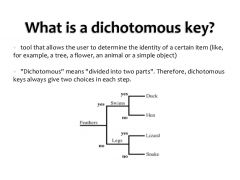 A key used to identify a plant or animal in  which each stage presents descriptions of two distinguishing characters, with a direction to another stage in the key, until the species  is identified

Relate to K8 and K2 because K8 is dichotomous key...