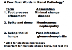 1. Minimal change disease
2. Membranous nephropathy
3. Post-infectious glomerulonephritis