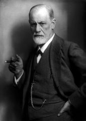 Sigmund Freud 
(here he is looking dapper in a suit with his cigar)