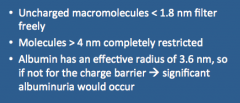 Size and charge barrier