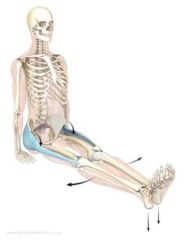 hip flexion, abduction from flexed position, & medial rotation