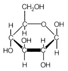 What is this molecular structure? 
How do you know?
