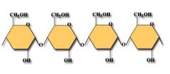 What is this molecular structure?
What reaction takes place to build it?