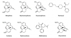 Morphine
Hydromorphone
Oxymorphone
Fentanyl
Codeine
Hydrocodone
Methadone
Oxycodone
Belong to which class of drug?