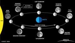 Lunar Movement 
 An introduction to the eastward motion of the Moon among the stars during the course ... Moving once around in 27.3 days, its average movement is about 13.2 degrees per day, or 92 degrees per week.