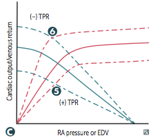 -changes in TPR >> altered CO for a given RA pressure, but MSP is unchanged


5. TPR increased by: vasopressors


6. TPR decreased by: exercise, AV shunt