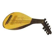 a short-necked, ten-stringed, unfretted Romanian folk-instrument