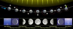 Moon Phases
The lunar phase or phase of the moon is the shape of the illuminated (sunlit) portion of the Moon as seen by an observer on Earth.