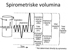Output er kurver med volumenangivelse. Man finder på den måde følgende værdier:
Tidalvolumen (VT)
Inspiratorisk reservevolumen (IRV)
Ekspiratorisk reservevolumen (ERV)
Forceret ekspiratorisk kapacitet (FEV)
Forceret ekspiratoriskvolumen i 1 se...