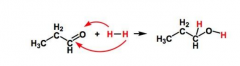 Gain of hydrogen, loss of oxygen bonds