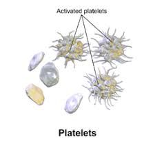 platelets