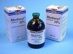 marbocyl