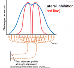 Inhibition to the sides by same neuron that is stimulated, so by time signal at cortex can differentiate one from another because it puts next to it are always going to be inhibited on either side