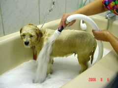 A cleaning with water or other liquid
 
We gave our dog a ablution cause he stinks