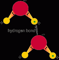 When two hydrogen within a molecule or compound bond