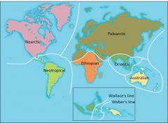 Biogeographic realms:
Determined by evolutionary history, geologicalconnections, and regional climate
