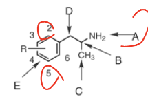 SAR of phenylisopropylamines