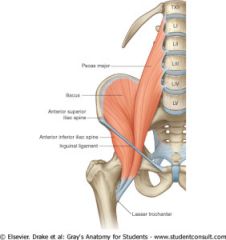 open: flexes hip


closed: tilts pelvis anteriorly and increases lumbar lordosis