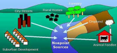 Non-Point Source Pollution