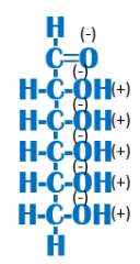 Is this function hydrophobic or hydrophilic? Why?