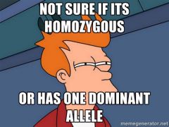 having two identical alles for a given gene on the homologous chromosome