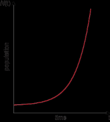 Exponential growth is the increase in a quantity according to the law.