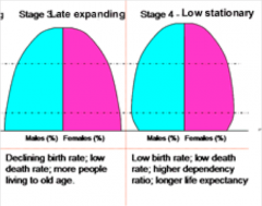- Relatively straight sides 
- Pre/reproductive/post cohorts are fairly equal - - This means that the population isn’t expanding/growing 
- Developed country 
- Have access to good family planning, birth control, education 
- Good medical care, ...
