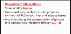 Insulin Facilitates uptake of Glucose into Adipose cells via GLUT4