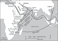 Indian Ocean Trading Networks (pic below)


The map shows what significant economic developments?