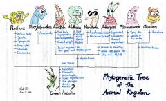 adding new intermediate forms, allowing a better picture of how organisms are related to one another
