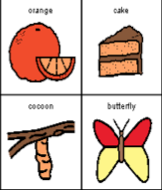 Ces symboles sont des exemples de quel type de vocabulaire?
