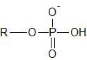 Name an example of where you might find this functional group.