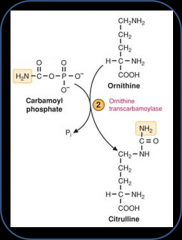 location- mitochondria
enzyme- ornithine transcarbamoylase
reaction- ornithine + carbamoyl phosphate--> citrulline
regulation
